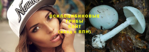 хмурый Алзамай