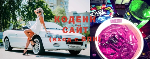 хмурый Алзамай