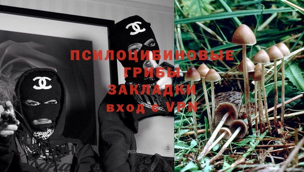 прущий лед Абаза