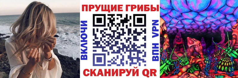 Галлюциногенные грибы Magic Shrooms закладка Ладушкин